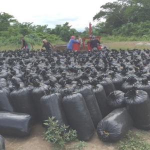 BOLSA PARA SILO
